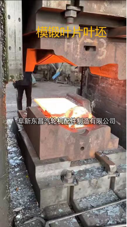模锻叶片叶坯